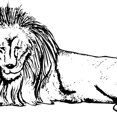 LION008 Thumbnail