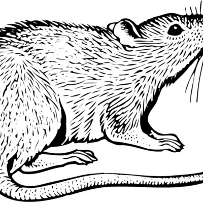 MOUSE003 Thumbnail