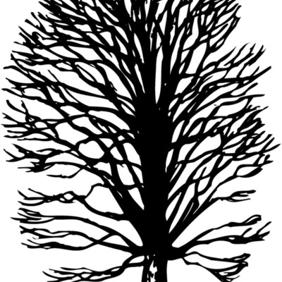 TREE0019 Thumbnail