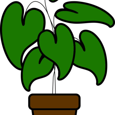 Plant Thumbnail